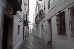 DSC 0062