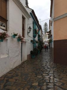 18 Sortie Estepona
