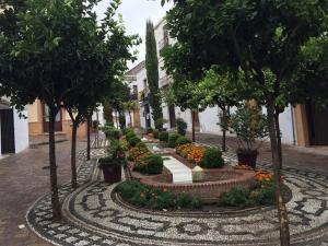20 Sortie Estepona