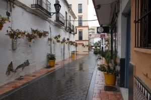 26 Sortie Estepona