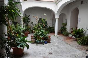 72 Sortie Tarifa