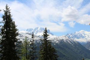 IMG 4479