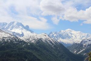 IMG 4484