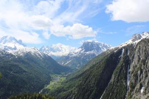 IMG 4487