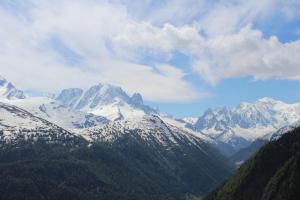 IMG 4493