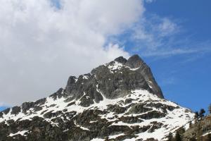 IMG 4494