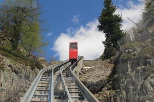 IMG 4501