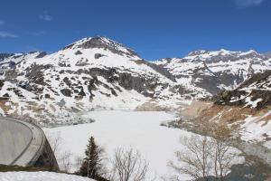IMG 4503