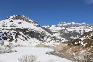 IMG 4506