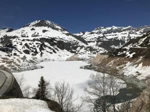 IMG 4814