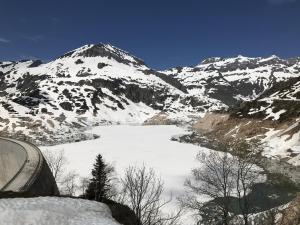 IMG 4816