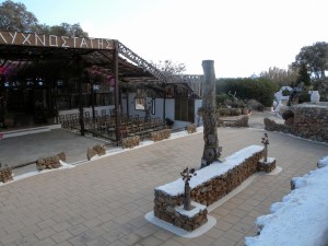 DSCN4099