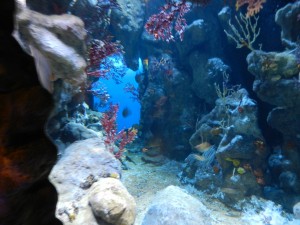 DSCN2175