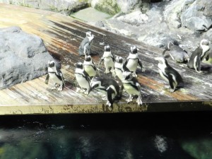 DSCN2194