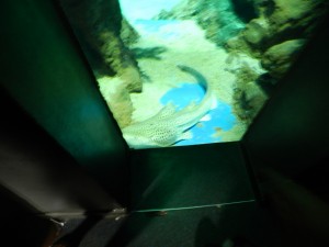 DSCN2196