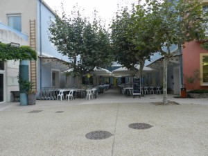 DSCN2410